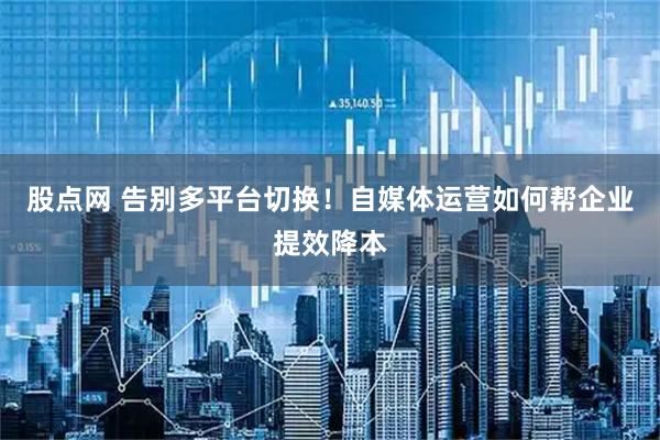 股点网 告别多平台切换！自媒体运营如何帮企业提效降本