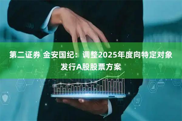 第二证券 金安国纪：调整2025年度向特定对象发行A股股票方案
