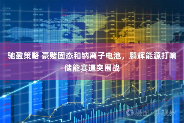 驰盈策略 豪赌固态和钠离子电池，鹏辉能源打响储能赛道突围战