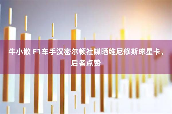 牛小散 F1车手汉密尔顿社媒晒维尼修斯球星卡，后者点赞