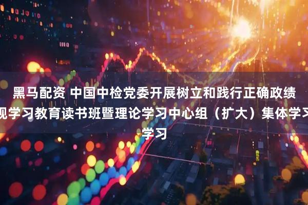 黑马配资 中国中检党委开展树立和践行正确政绩观学习教育读书班暨理论学习中心组（扩大）集体学习