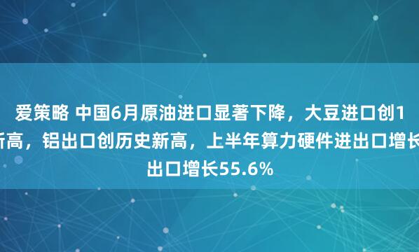 爱策略 中国6月原油进口显著下降，大豆进口创13个月新高，铝出口创历史新高，上半年算力硬件进出口增长55.6%