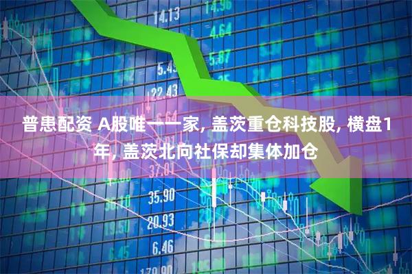 普患配资 A股唯一一家, 盖茨重仓科技股, 横盘1年, 盖茨北向社保却集体加仓