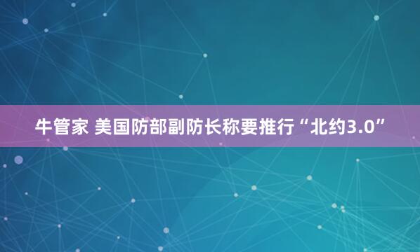 牛管家 美国防部副防长称要推行“北约3.0”