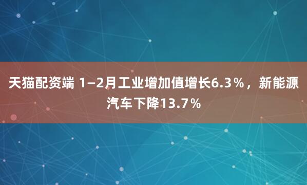 天猫配资端 1—2月工业增加值增长6.3％，新能源汽车下降13.7％