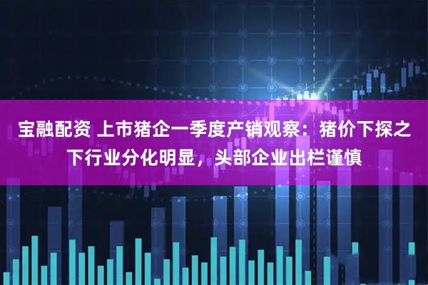 宝融配资 上市猪企一季度产销观察：猪价下探之下行业分化明显，头部企业出栏谨慎
