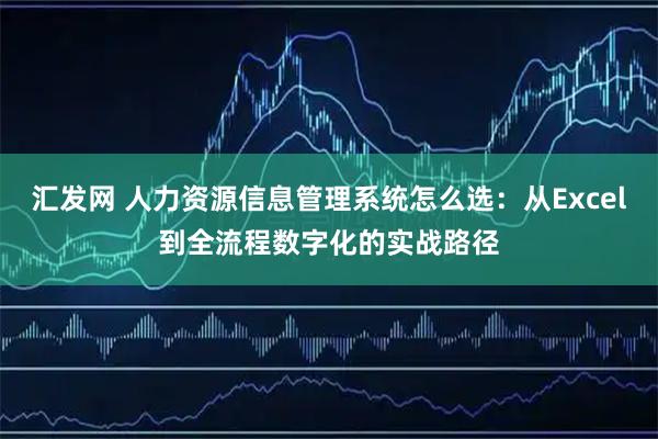 汇发网 人力资源信息管理系统怎么选：从Excel到全流程数字化的实战路径